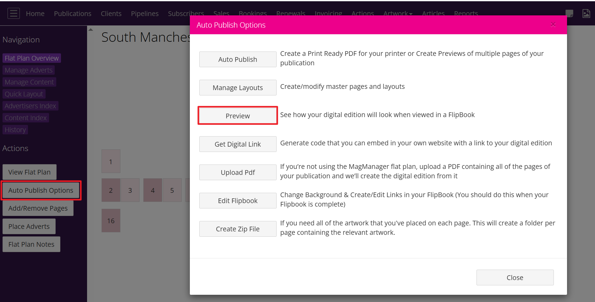 2025-07-02 17 05 35 Auotpublish Preview.png